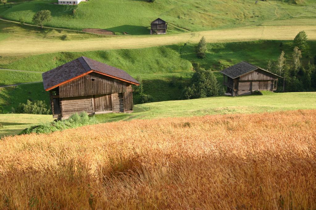 Bauernhof Im Wiesengrund Maria Luggau Buitenkant foto